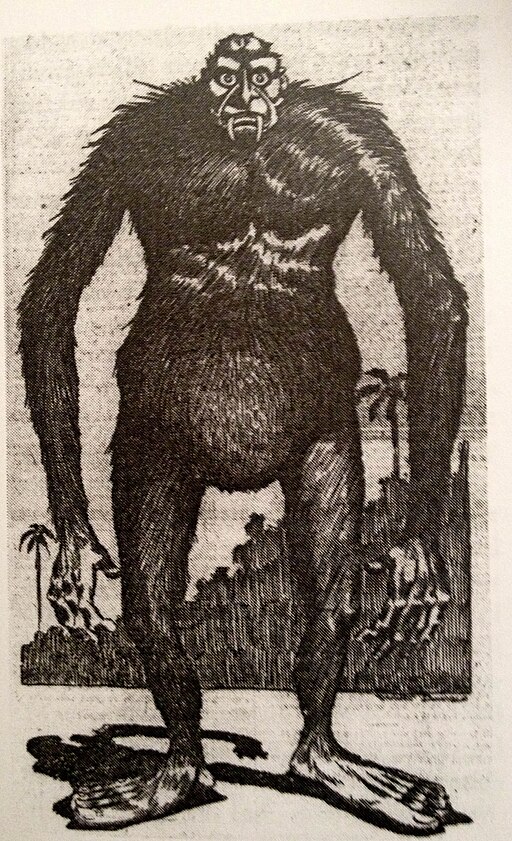 Yowie - The Australian Bigfoot